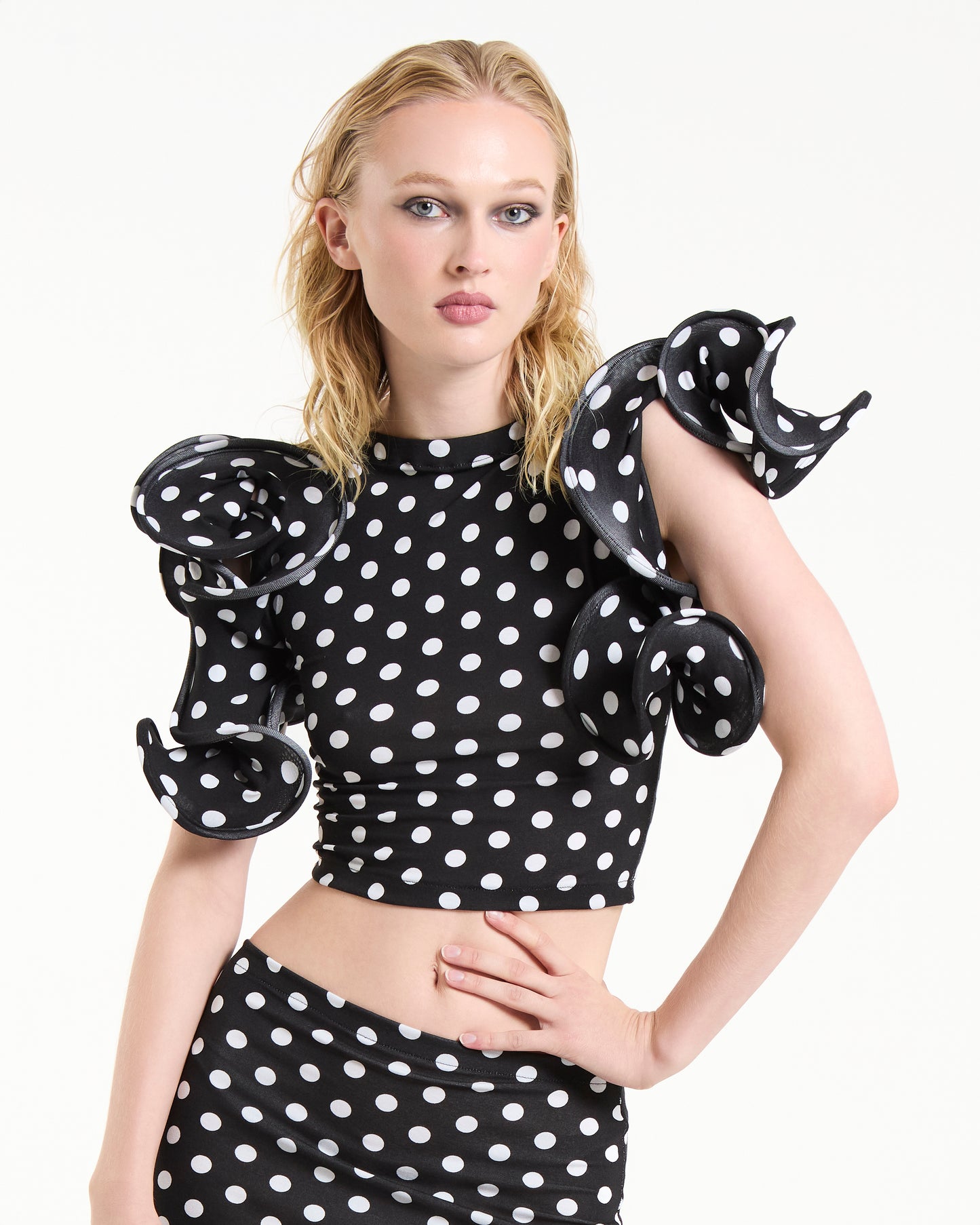 polka t